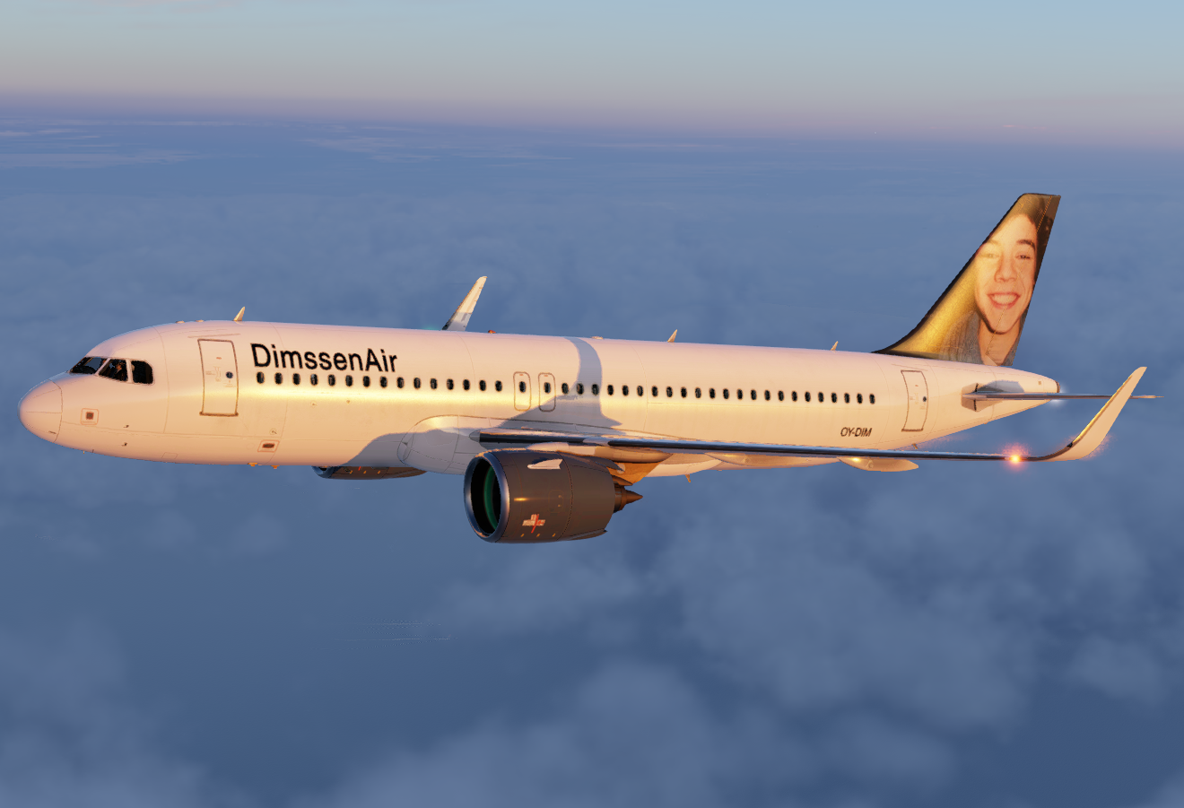 DimssenAir Aircraft